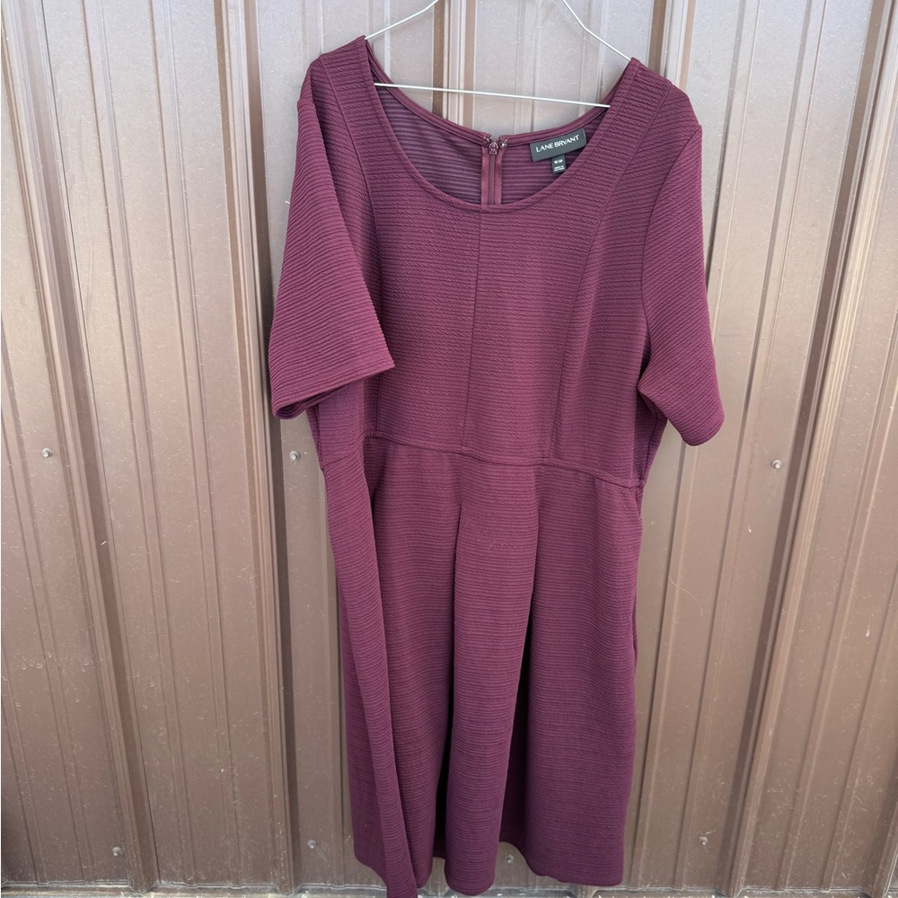 Lane Bryant Dress
